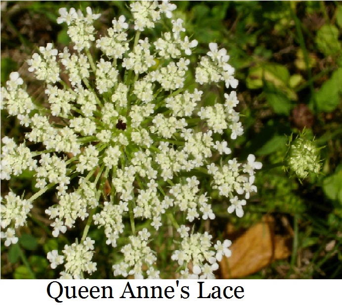 789676803_b9a84dce52_b