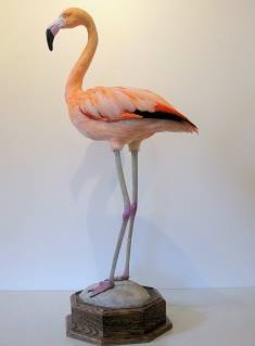 Cheri Guinn - Flamingo