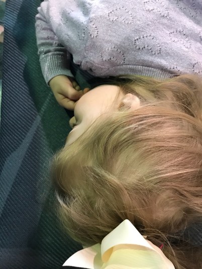 3509eeaf-0f56-44be-bd50-d80e2fa390f9